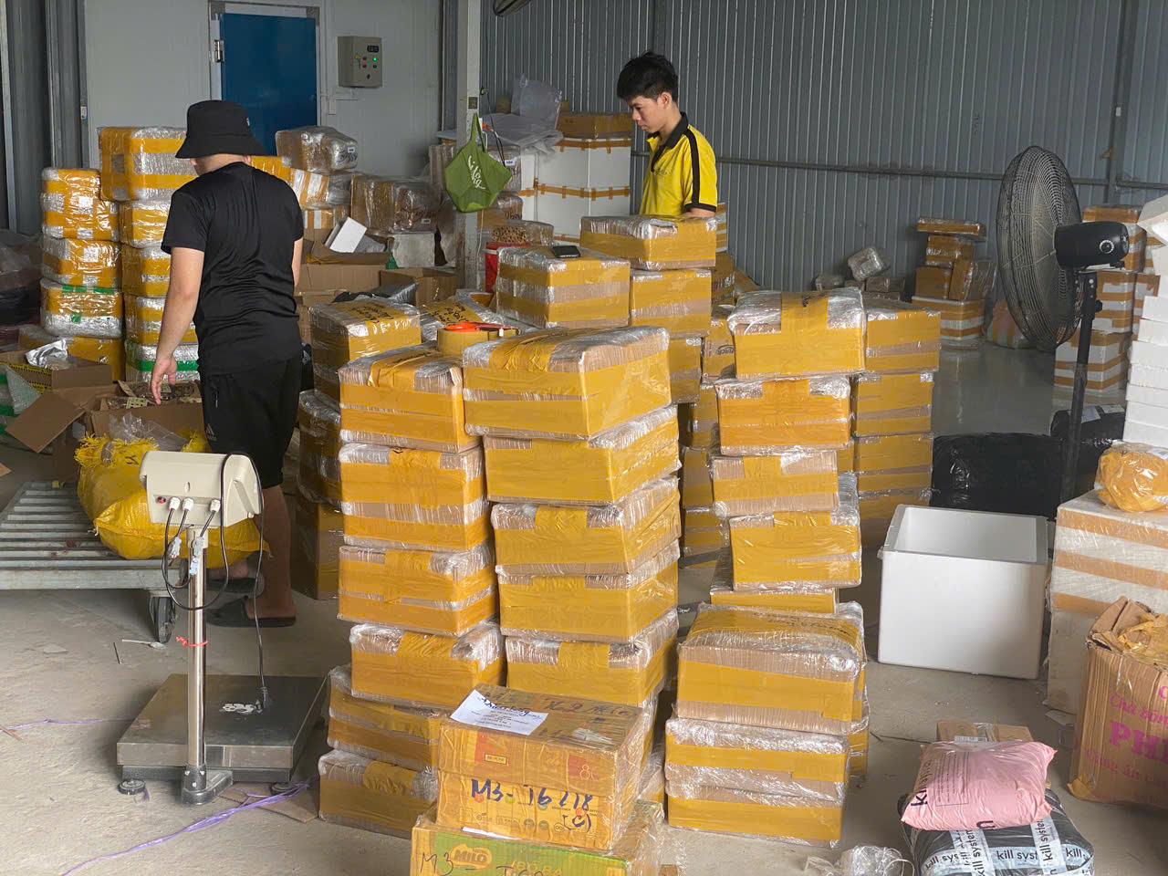 Vận Chuyển Việt Đài