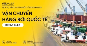 Vận chuyển hàng rời quốc tế (Break Bulk) là gì?